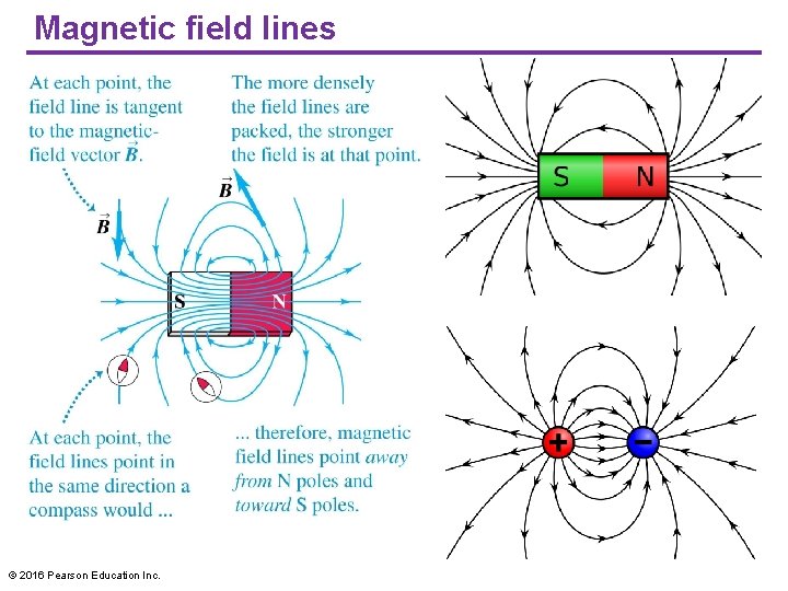 Magnetic field lines © 2016 Pearson Education Inc. 