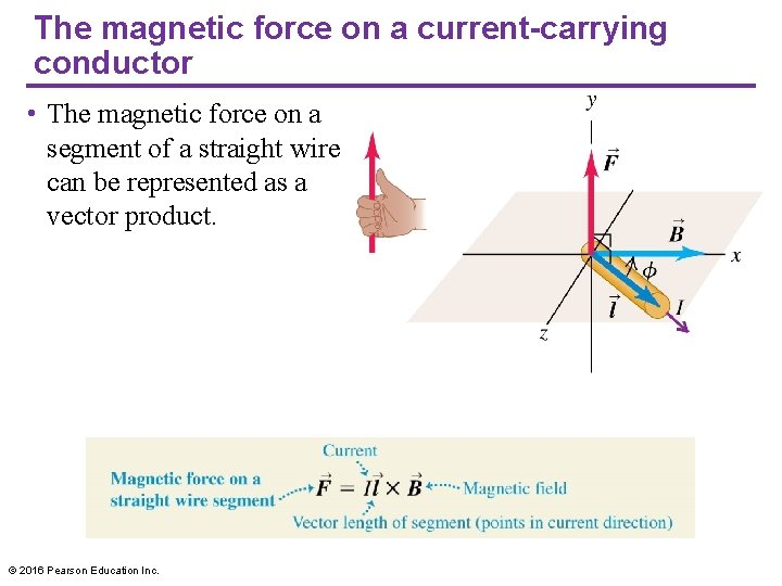 The magnetic force on a current-carrying conductor • The magnetic force on a segment