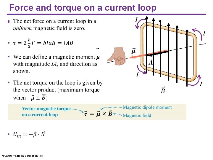 Force and torque on a current loop • © 2016 Pearson Education Inc. 