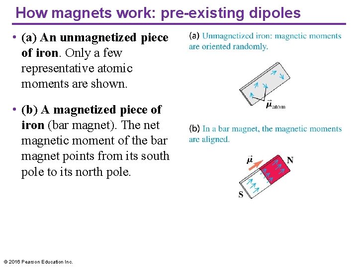 How magnets work: pre-existing dipoles • (a) An unmagnetized piece of iron. Only a