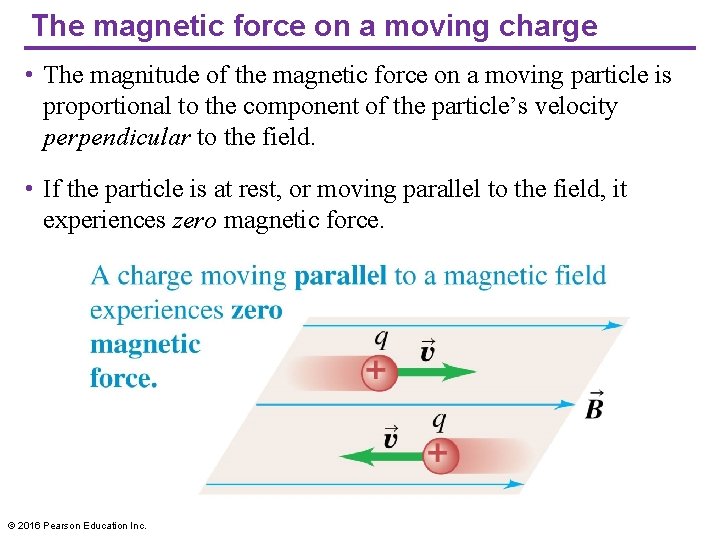 The magnetic force on a moving charge • The magnitude of the magnetic force