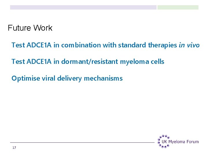 Future Work Test ADCE 1 A in combination with standard therapies in vivo Test