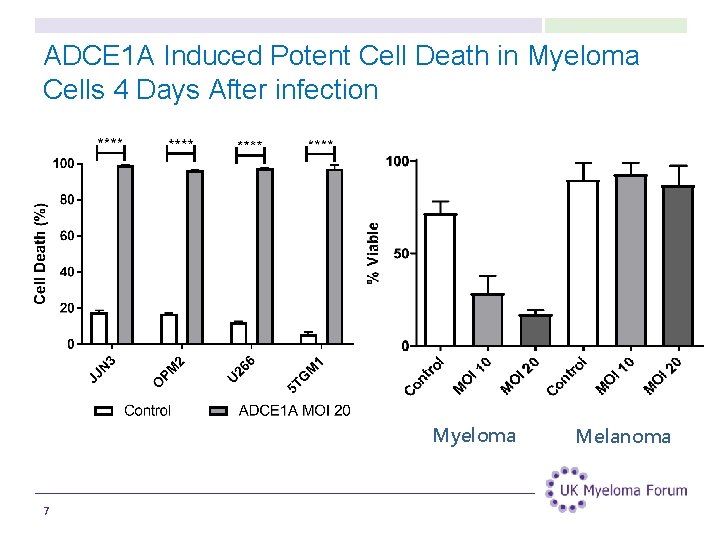 ADCE 1 A Induced Potent Cell Death in Myeloma Cells 4 Days After infection