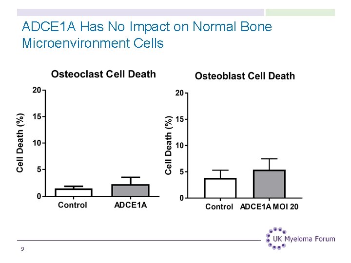 ADCE 1 A Has No Impact on Normal Bone Microenvironment Cells 9 