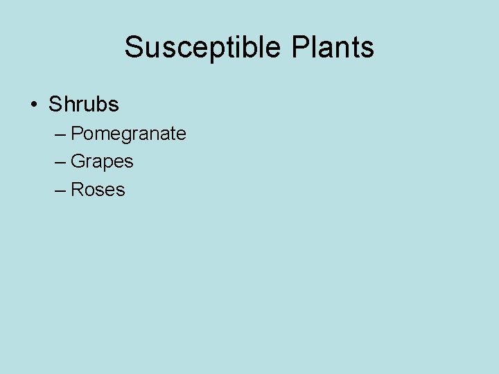 Susceptible Plants • Shrubs – Pomegranate – Grapes – Roses Susceptible Plants • Shrubs – Pomegranate – Grapes – Roses