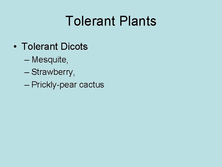 Tolerant Plants • Tolerant Dicots – Mesquite, – Strawberry, – Prickly-pear cactus Tolerant Plants • Tolerant Dicots – Mesquite, – Strawberry, – Prickly-pear cactus