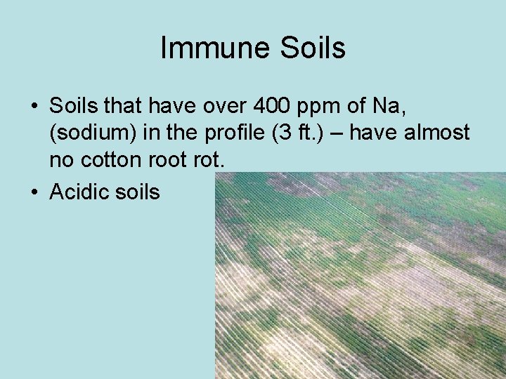 Immune Soils • Soils that have over 400 ppm of Na, (sodium) in the Immune Soils • Soils that have over 400 ppm of Na, (sodium) in the