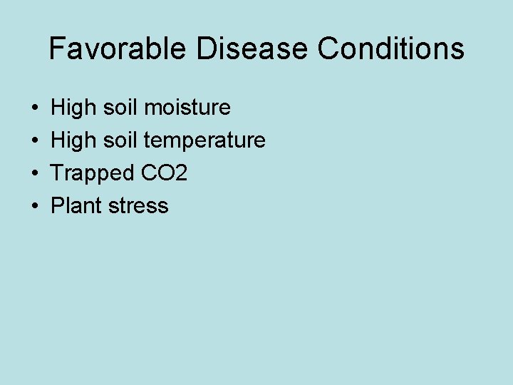 Favorable Disease Conditions • • High soil moisture High soil temperature Trapped CO 2 Favorable Disease Conditions • • High soil moisture High soil temperature Trapped CO 2