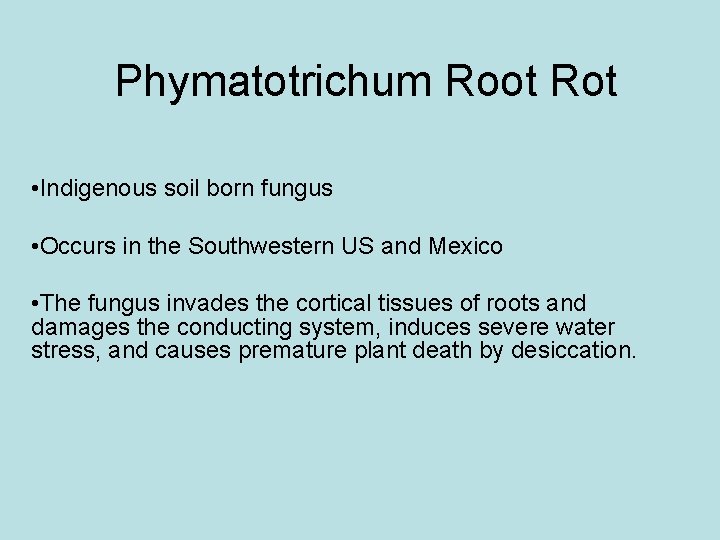 Phymatotrichum Root Rot • Indigenous soil born fungus • Occurs in the Southwestern US Phymatotrichum Root Rot • Indigenous soil born fungus • Occurs in the Southwestern US