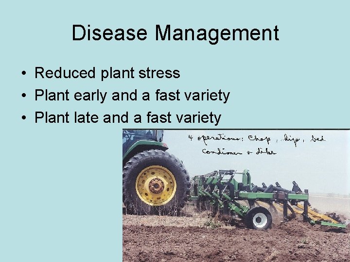 Disease Management • Reduced plant stress • Plant early and a fast variety • Disease Management • Reduced plant stress • Plant early and a fast variety •