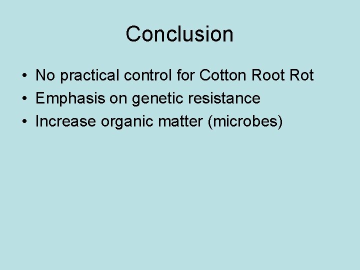 Conclusion • No practical control for Cotton Root Rot • Emphasis on genetic resistance Conclusion • No practical control for Cotton Root Rot • Emphasis on genetic resistance