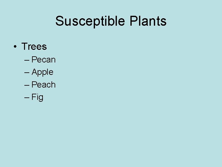 Susceptible Plants • Trees – Pecan – Apple – Peach – Fig Susceptible Plants • Trees – Pecan – Apple – Peach – Fig