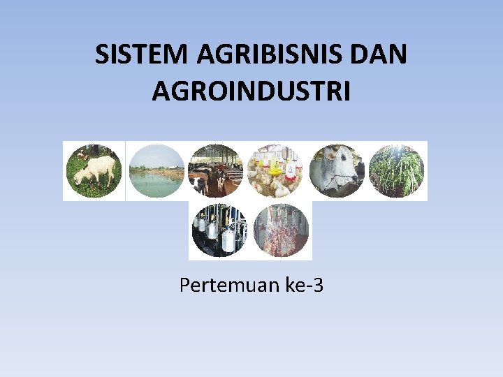 SISTEM AGRIBISNIS DAN AGROINDUSTRI Pertemuan ke-3 