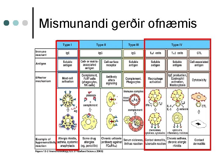 Mismunandi gerðir ofnæmis 