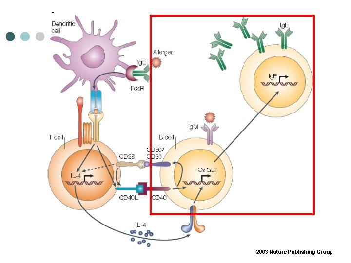 2003 Nature Publishing Group 