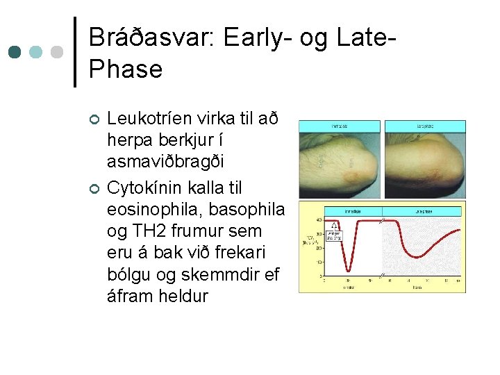 Bráðasvar: Early- og Late. Phase ¢ ¢ Leukotríen virka til að herpa berkjur í
