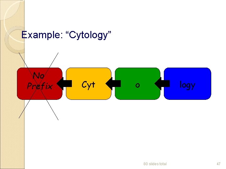 Example: “Cytology” No Prefix Cyt o logy 80 slides total 47 