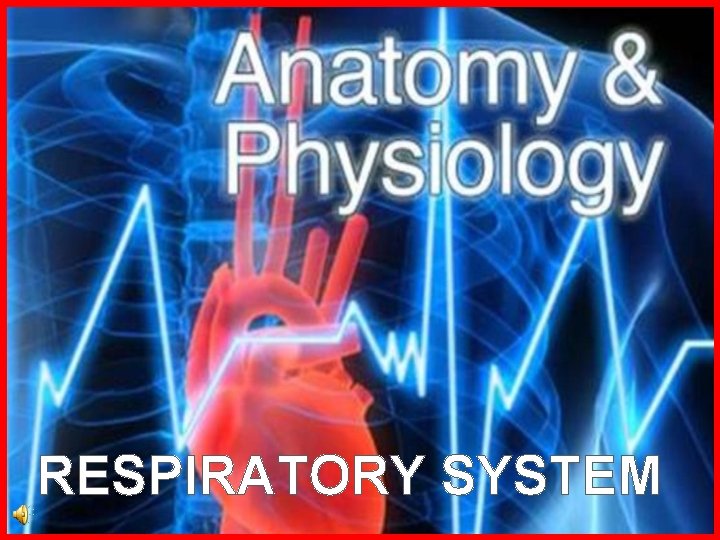 RESPIRATORY SYSTEM 