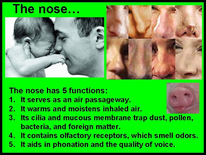 The nose… The nose has 5 functions: 1. It serves as an air passageway.