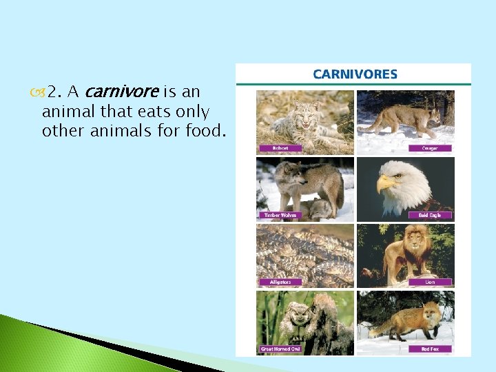  2. A carnivore is an animal that eats only other animals for food.