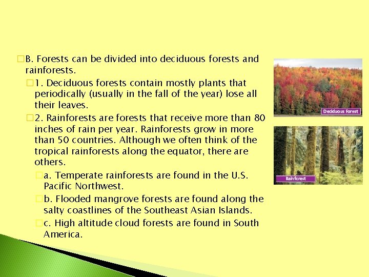 �B. Forests can be divided into deciduous forests and rainforests. � 1. Deciduous forests
