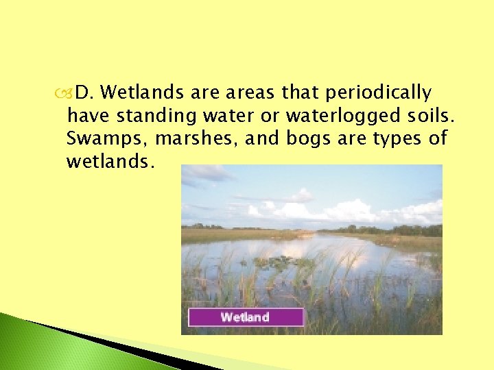  D. Wetlands areas that periodically have standing water or waterlogged soils. Swamps, marshes,