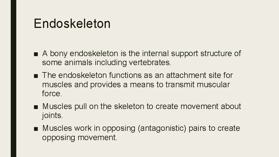 Endoskeleton ■ A bony endoskeleton is the internal support structure of some animals including