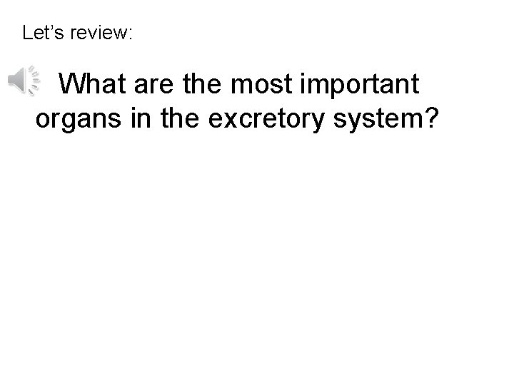 Let’s review: What are the most important organs in the excretory system? 