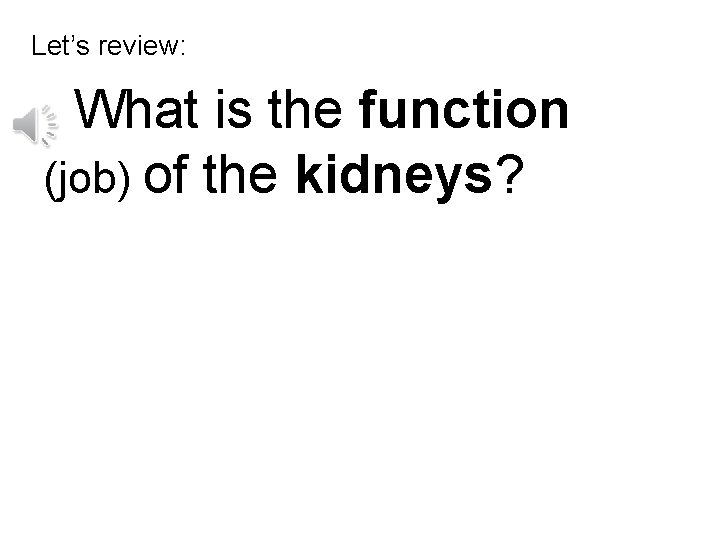 Let’s review: What is the function (job) of the kidneys? 