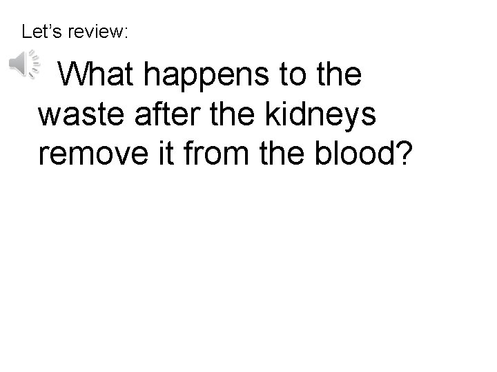 Let’s review: What happens to the waste after the kidneys remove it from the