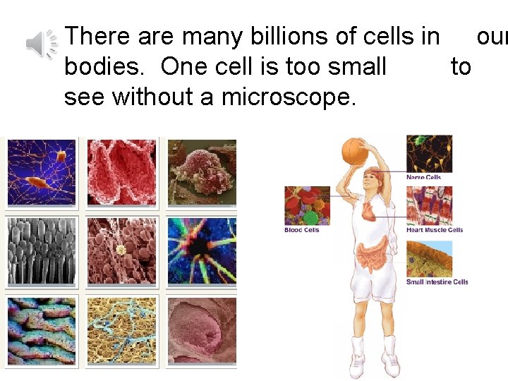 There are many billions of cells in our bodies. One cell is too small