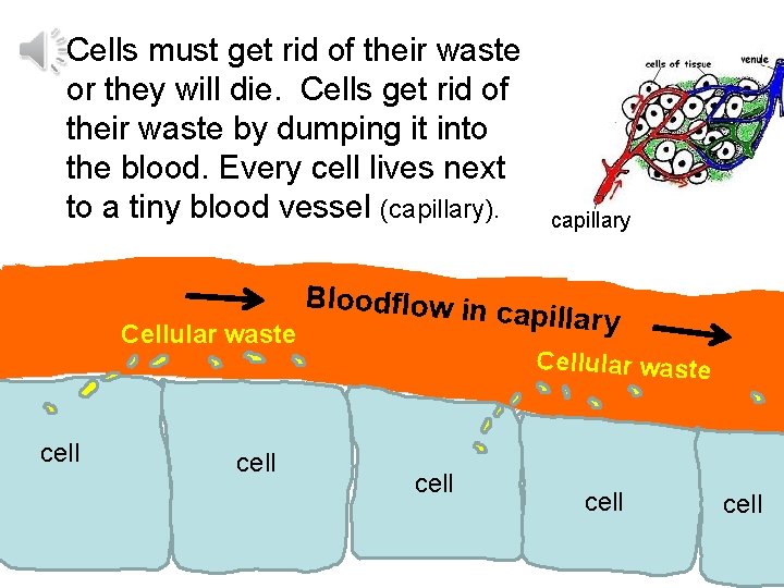 Cells must get rid of their waste or they will die. Cells get rid