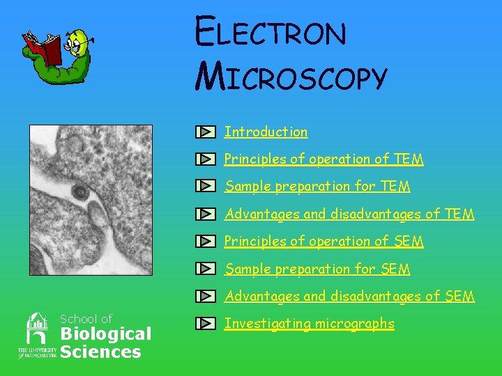 ELECTRON MICROSCOPY Introduction Principles of operation of TEM Sample preparation for TEM Advantages and