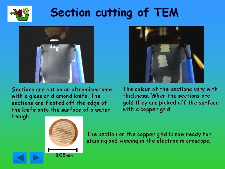 Section cutting of TEM Sections are cut on an ultramicrotome with a glass or