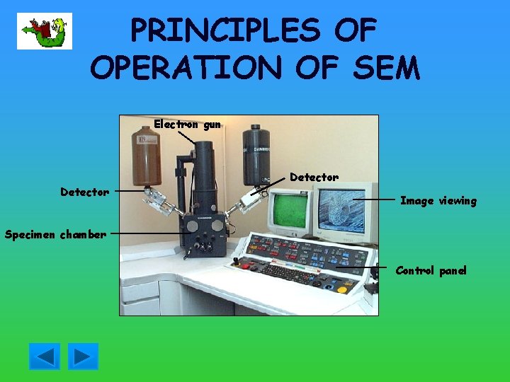 PRINCIPLES OF OPERATION OF SEM Electron gun Detector Image viewing Specimen chamber Control panel