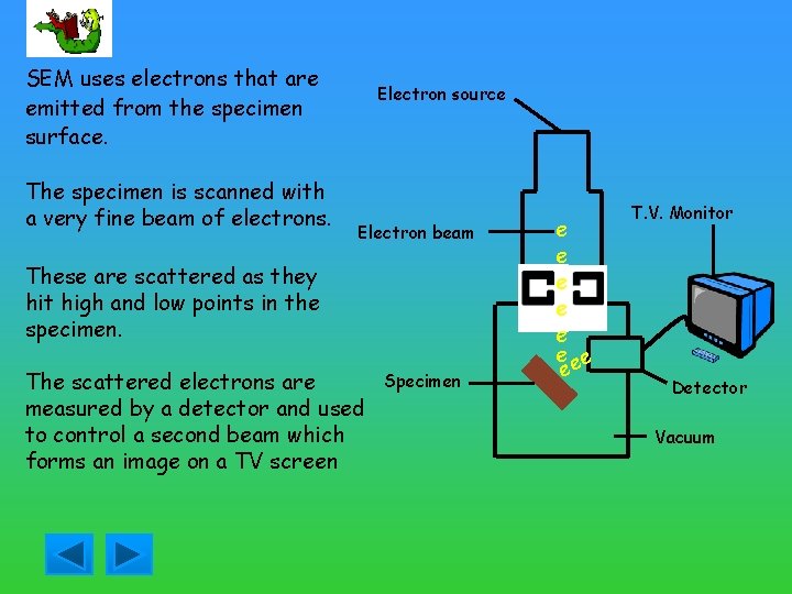 SEM uses electrons that are emitted from the specimen surface. The specimen is scanned