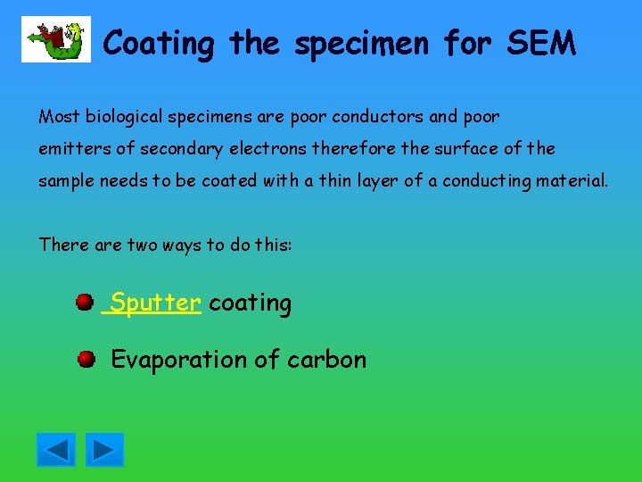 Coating the specimen for SEM Most biological specimens are poor conductors and poor emitters