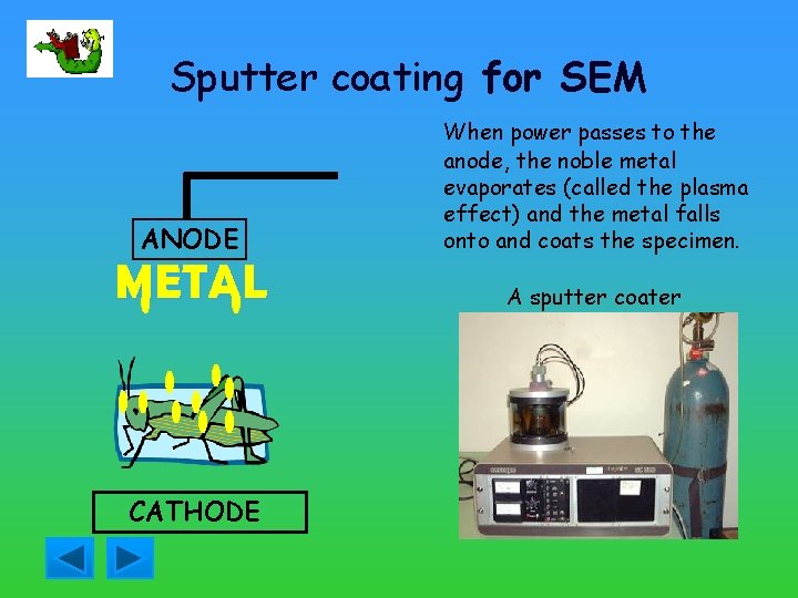 Sputter coating for SEM ANODE METAL CATHODE When power passes to the anode, the