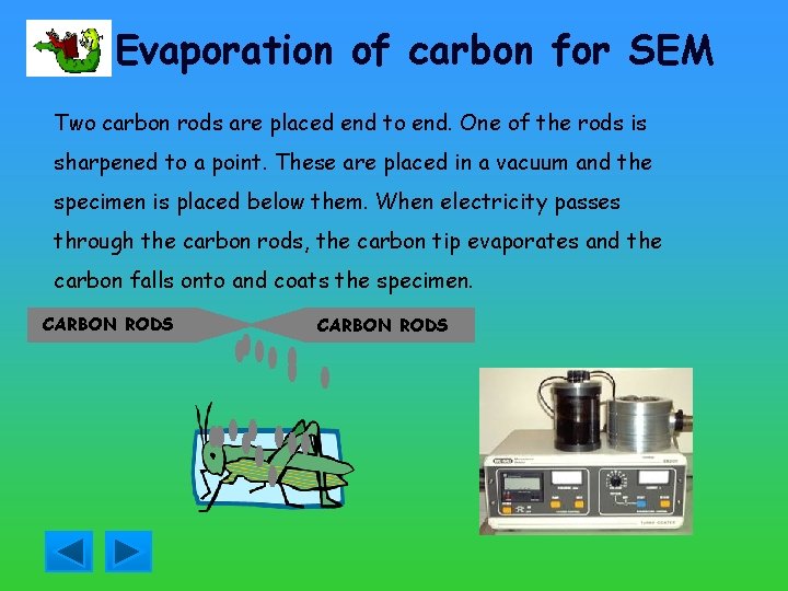 Evaporation of carbon for SEM Two carbon rods are placed end to end. One