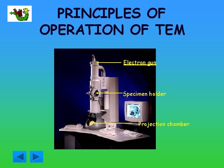 PRINCIPLES OF OPERATION OF TEM Electron gun Specimen holder Projection chamber 