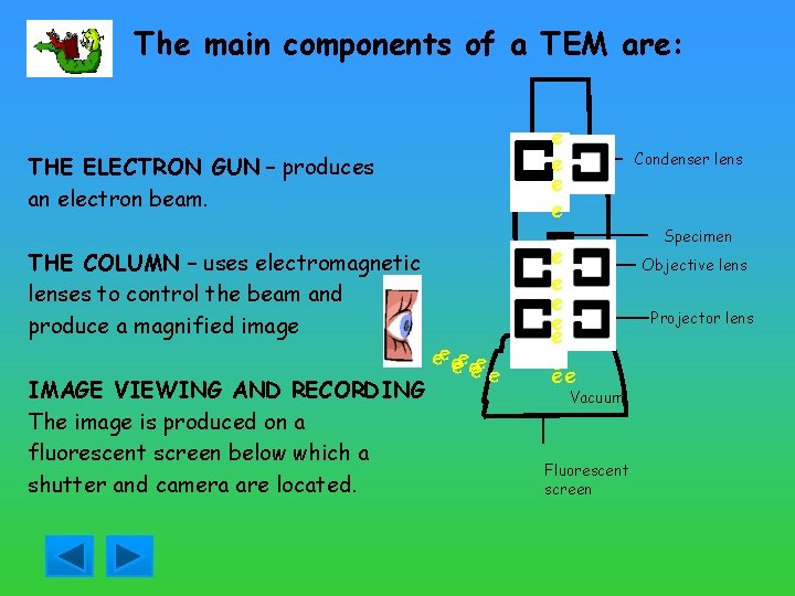 The main components of a TEM are: e e THE ELECTRON GUN – produces