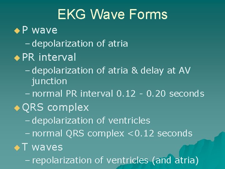EKG Wave Forms u. P wave – depolarization of atria u PR interval –