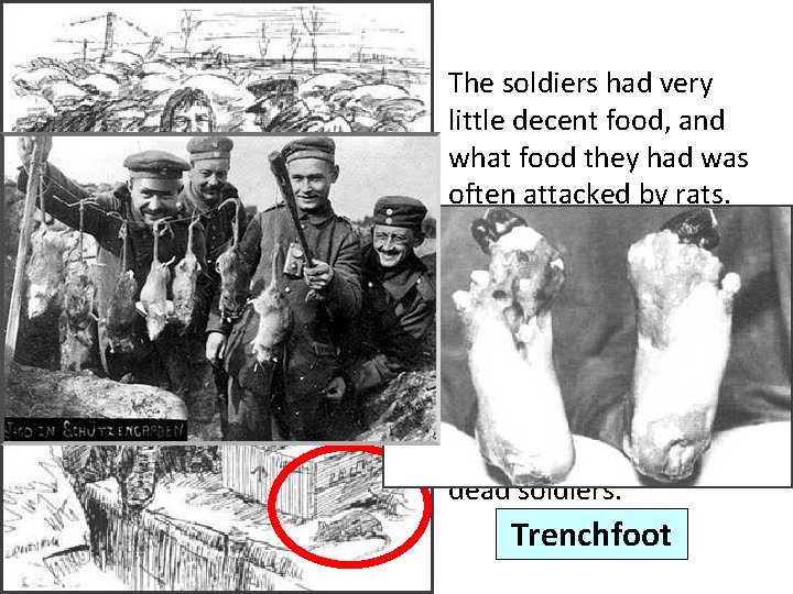The soldiers had very little decent food, and what food they had was often The soldiers had very little decent food, and what food they had was often