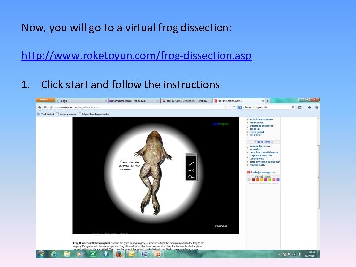 Now, you will go to a virtual frog dissection: http: //www. roketoyun. com/frog-dissection. asp