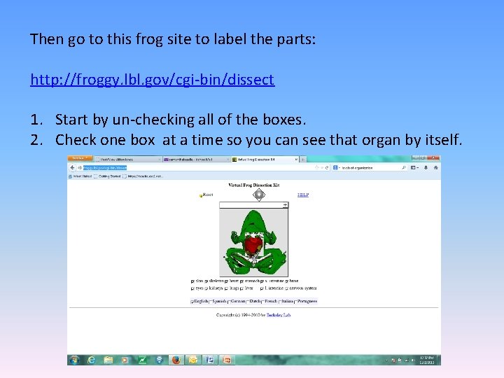 Then go to this frog site to label the parts: http: //froggy. lbl. gov/cgi-bin/dissect