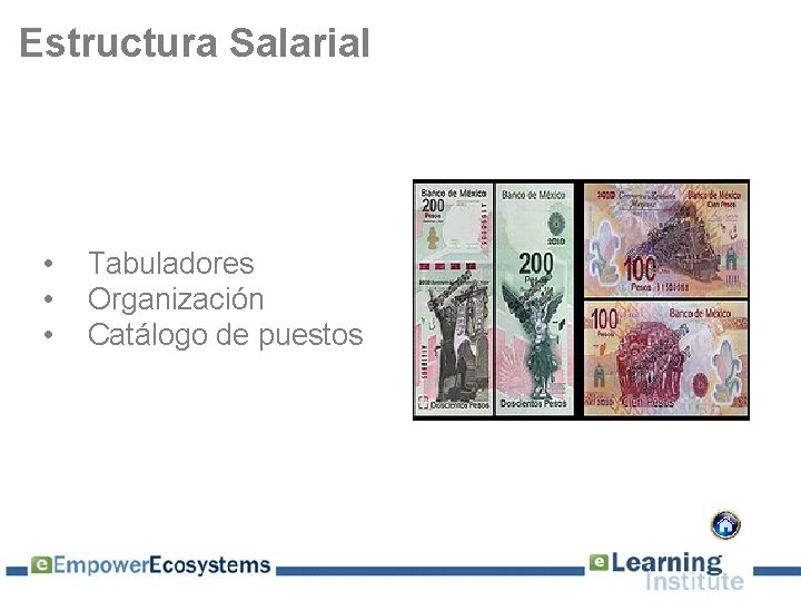 Estructura Salarial • • • Tabuladores Organización Catálogo de puestos 