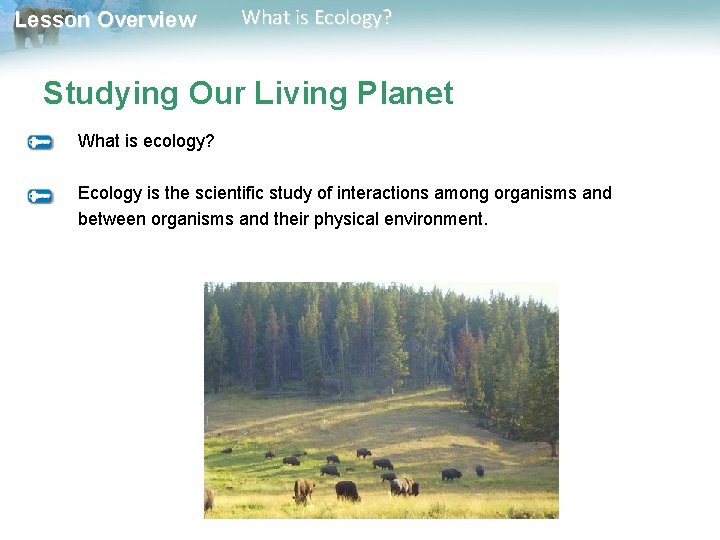 Lesson Overview What is Ecology? Studying Our Living Planet What is ecology? Ecology is