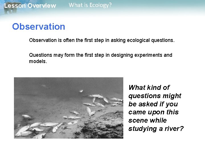 Lesson Overview What is Ecology? Observation is often the first step in asking ecological