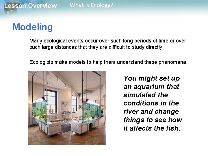 Lesson Overview What is Ecology? Modeling Many ecological events occur over such long periods