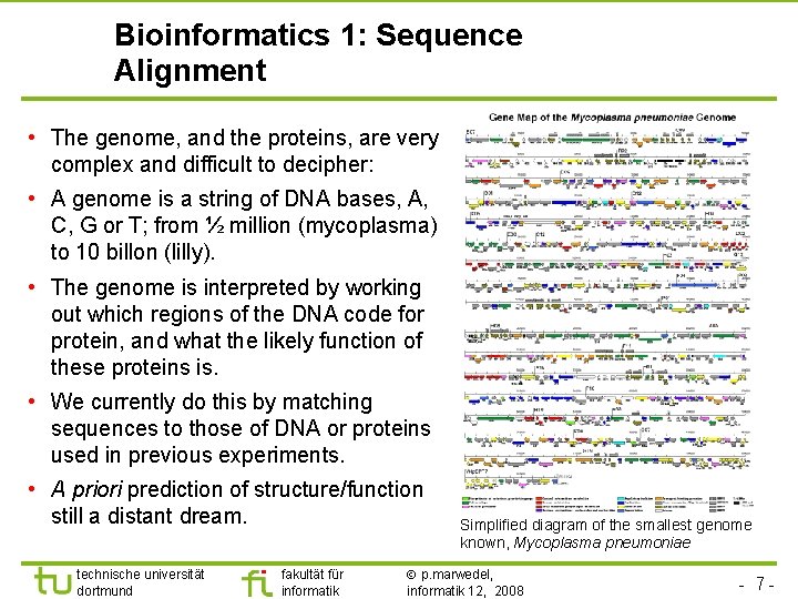 Bioinformatics 1: Sequence Alignment • The genome, and the proteins, are very complex and